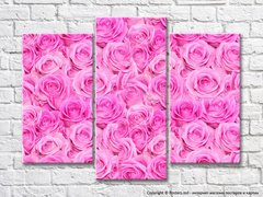 Triptic de trandafiri roz luxurianți