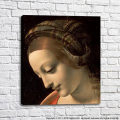 Madonna Litta, Da Vinci