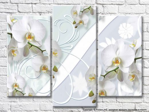 Абстракция из белых орхидей и узоров