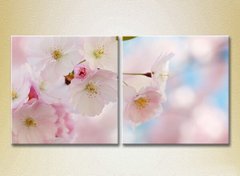 Диптих Цветы сакуры