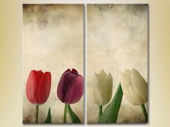 Диптих Разноцветные тюльпаны