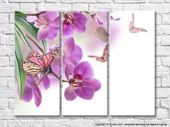 Orhidee violet și fluturi pe un fundal alb
