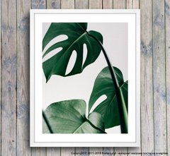 Постер листья тропического растения темно зеленые, фото
