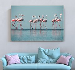 Стая розовых фламинго на мелководье