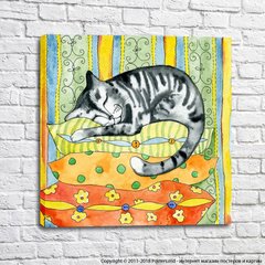 Серый полосатый кот на подушках