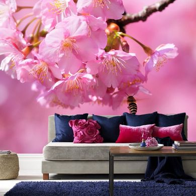 Sakura roz și albină