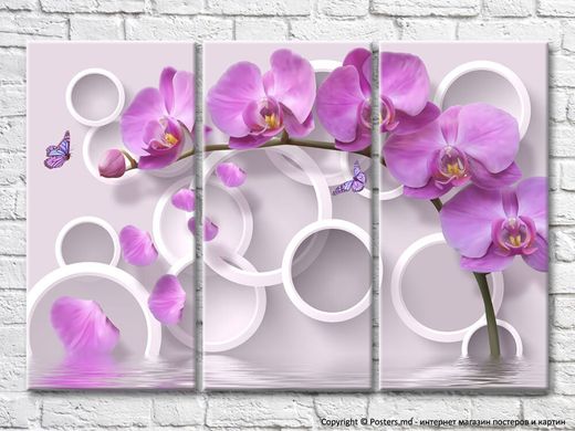 Ramă de orhidee violet pe un fundal de cercuri