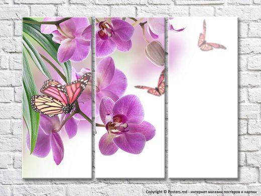 Orhidee violet și fluturi pe un fundal alb