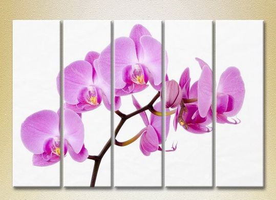 Полиптих Орхидеи сиреневые_04