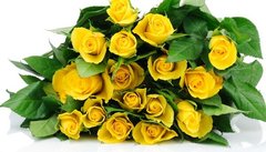 Фотообои Букет желтых роз