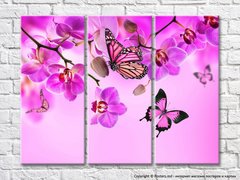 Фиолетовые орхидеи и бабочки на розовом фоне