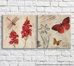 Красная стрекоза и бабочка на фоне цветов и текста, винтаж, диптих